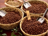 Phân biệt cafe sạch